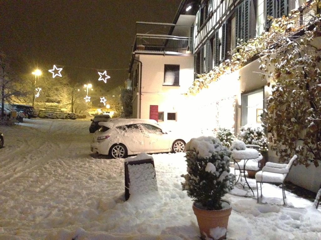 Hotel Rebe Herrliberg Экстерьер фото